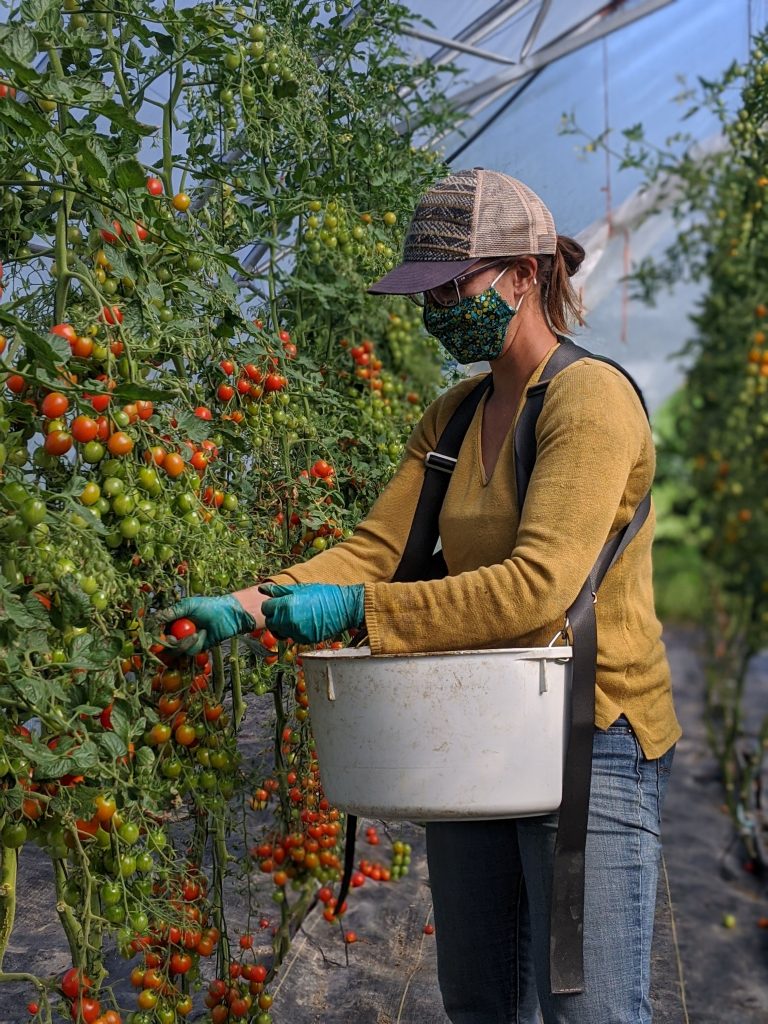 Wild Flight Farm job