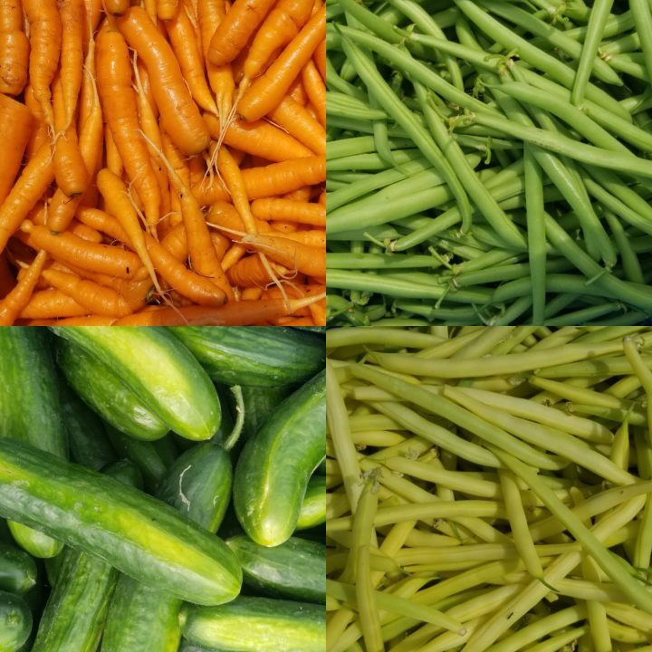 FARM JOB Tsawwassen First Nation, BC c̓əlisələm, Farm Staff Young